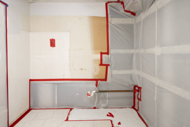 Best Water Damage & Mold Remediation  in Rockcreek, OR