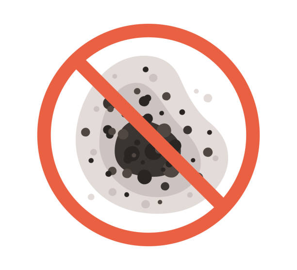 Best Mold Prevention Services  in Rockcreek, OR