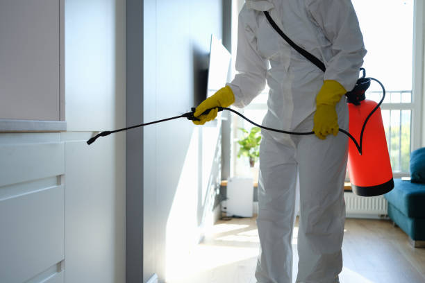 Best Mold Remediation for Healthcare Facilities  in Rockcreek, OR