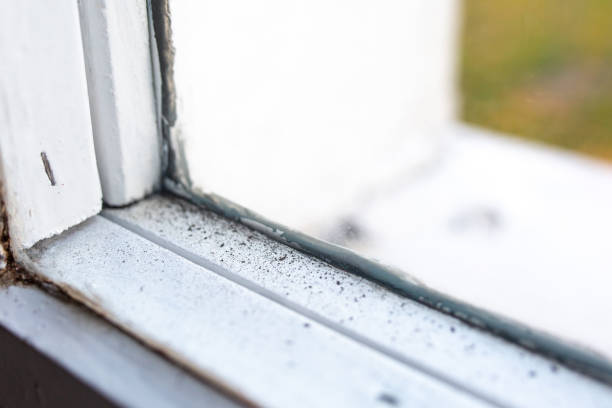 Best Mold Documentation for Insurance Claims  in Rockcreek, OR