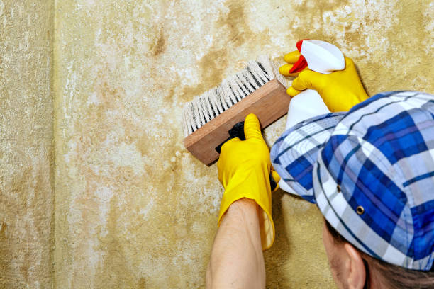 Best HVAC Mold Inspection and Cleaning  in Rockcreek, OR