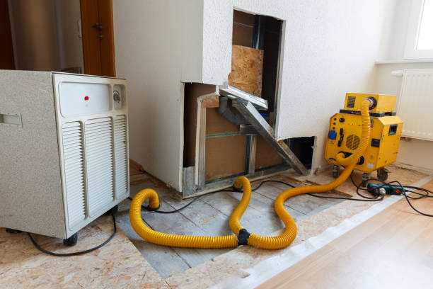 Best Dehumidification Services  in Rockcreek, OR