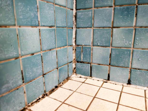Best Residential Mold Inspection & Testing  in Rockcreek, OR