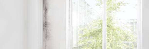 Mold Remediation for Rental Properties in Rockcreek, OR