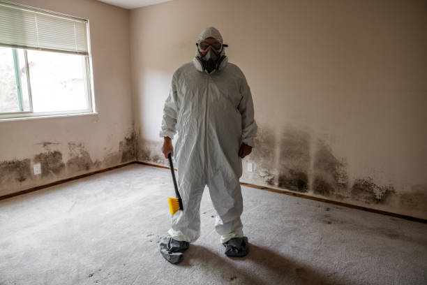 Best Post-Construction Mold Inspection  in Rockcreek, OR